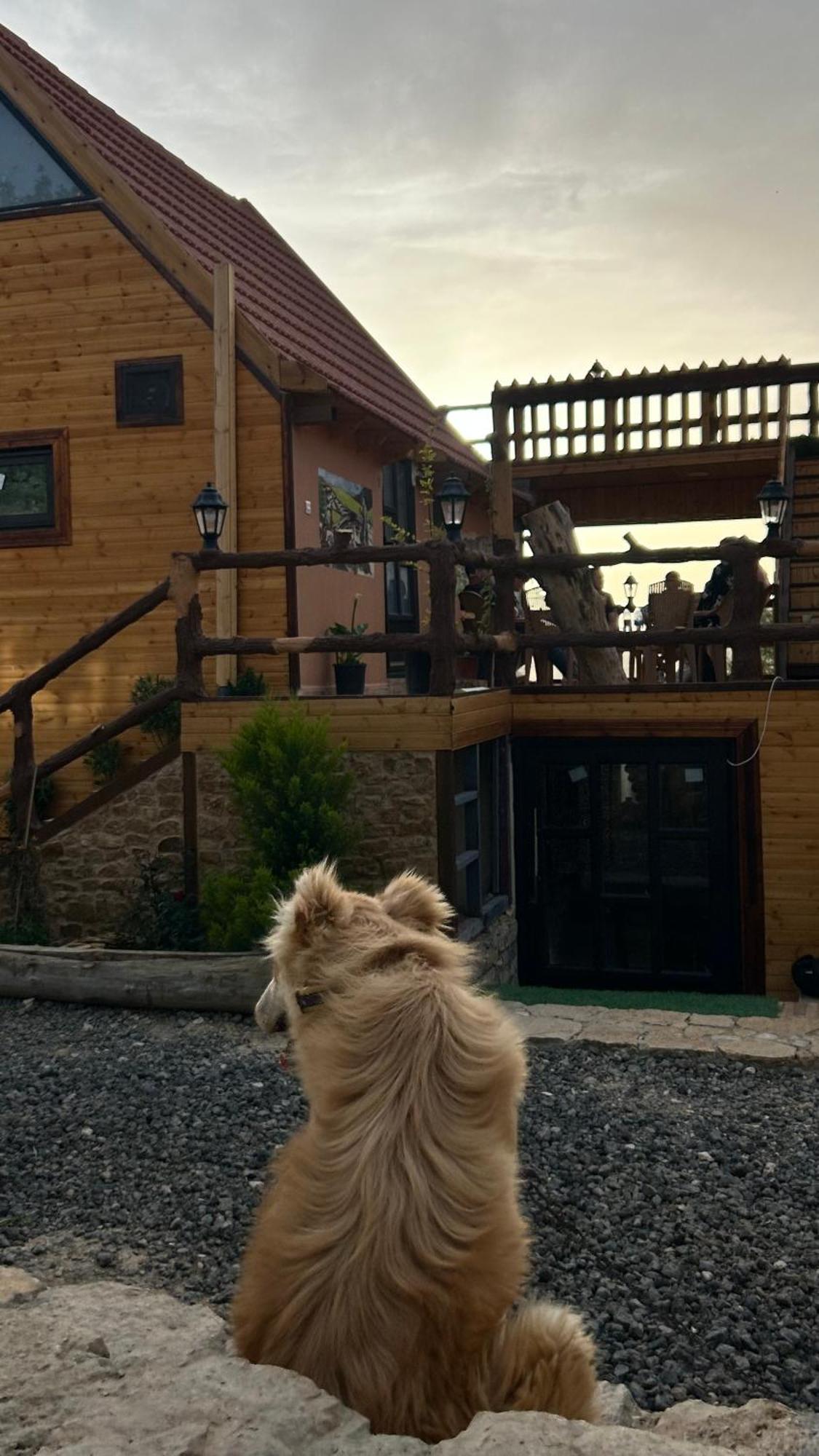 Hotel Dana Luxury Huts Zewnętrze zdjęcie